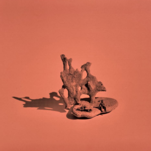 Un mundo sin nosotros 08