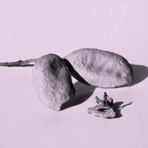 Un mundo sin nosotros 09