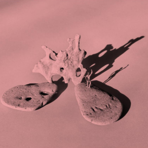 Un mundo sin nosotros 11