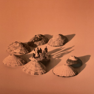 Un mundo sin nosotros 13