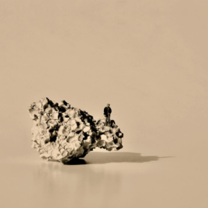 Un mundo sin nosotros 15