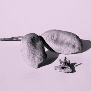 Un mundo sin nosotros 17