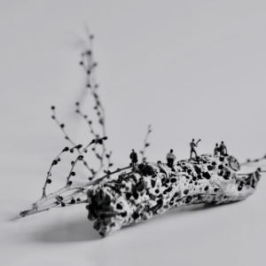 Un mundo sin nosotros 19