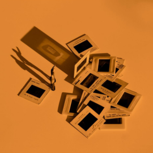 Un mundo sin nosotros 23