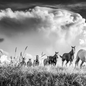 Se agranda la inmensidad